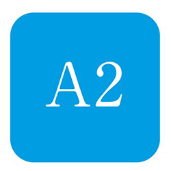 a2