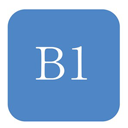 b1